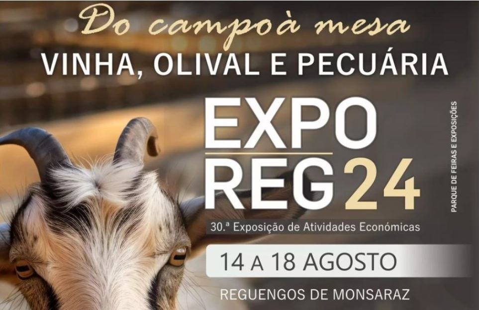 ExpoReg 2024 (de 14 a 18 de agosto) 